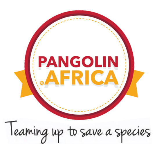 Pangolin-Africa Pangolin Africa